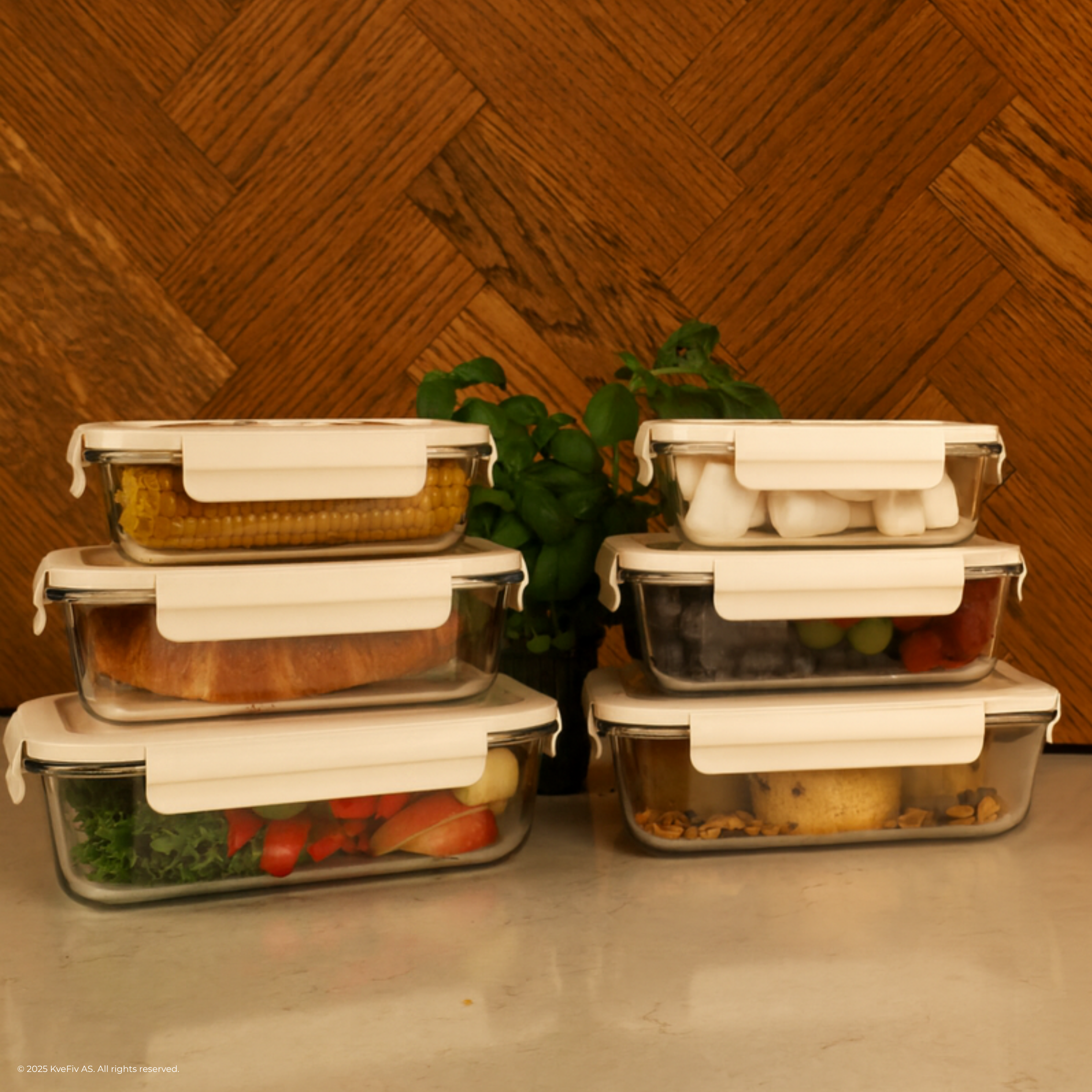 FrischHalt Vakuum-Boxen-Set
